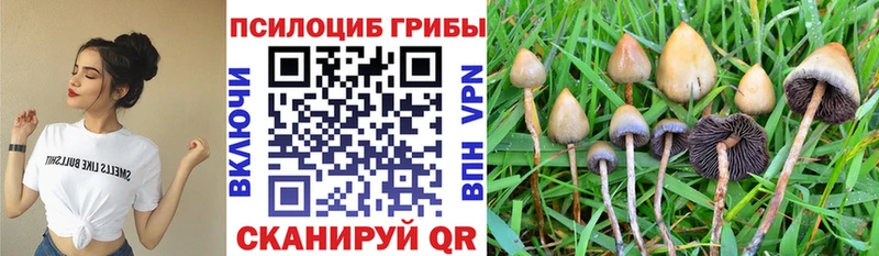 Галлюциногенные грибы ЛСД  Купить  Сарапул 